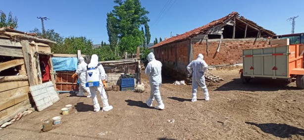 Foto - O ilimizde kuş gribi şüphesi! 200 kanatlı hayvan itlaf edildi