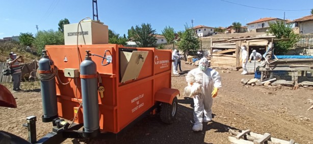 Foto - O ilimizde kuş gribi şüphesi! 200 kanatlı hayvan itlaf edildi