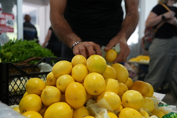 Foto - O ilimizde limonun fiyatı 90 TL'den 30 TL'ye düştü