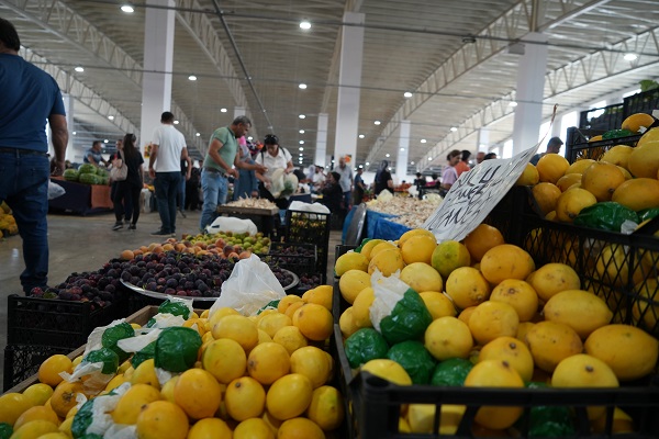 O ilimizde limonun fiyatı 90 TL'den 30 TL'ye düştü