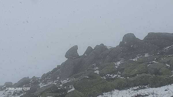 Foto - O ilimizde mevsimin ilk karı yağdı