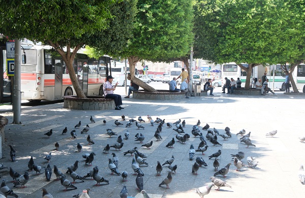 Foto - O ilimizde nefes almak bile zor! 