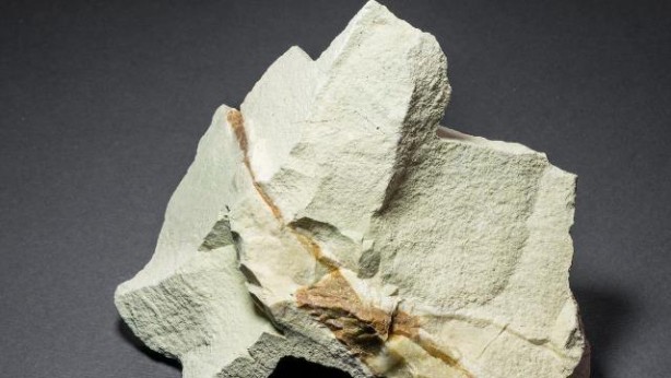 Foto - O ilimizde resmen hazine bulundu! Hala keşfedilemeyen kısmı da var: 1 gramını bulan köşeyi dönecek