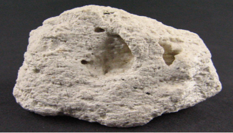 Foto - O ilimizde resmen hazine bulundu! Hala keşfedilemeyen kısmı da var: 1 gramını bulan köşeyi dönecek