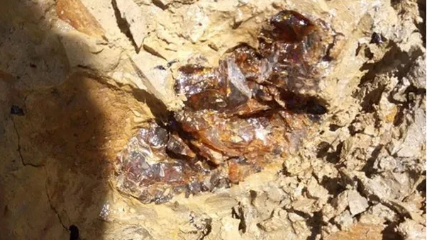 Foto - O ilimizde resmen hazine bulundu! Hala keşfedilemeyen kısmı da var: 1 gramını bulan köşeyi dönecek