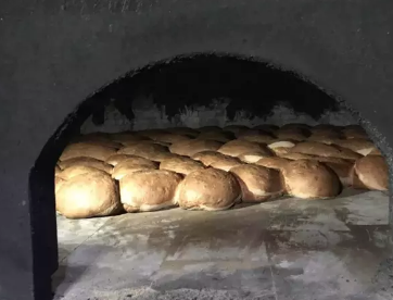 Foto - O ilimizde sadece üretiliyor! Sofraların vazgeçilmezi, bir aileye 1 hafta yetiyor...