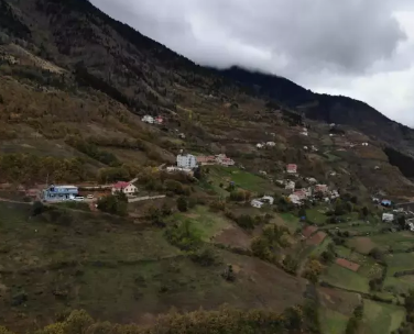 Foto - O ilimizde sadece üretiliyor! Sofraların vazgeçilmezi, bir aileye 1 hafta yetiyor...