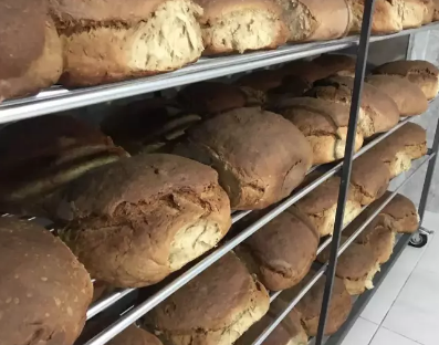 Foto - O ilimizde sadece üretiliyor! Sofraların vazgeçilmezi, bir aileye 1 hafta yetiyor...