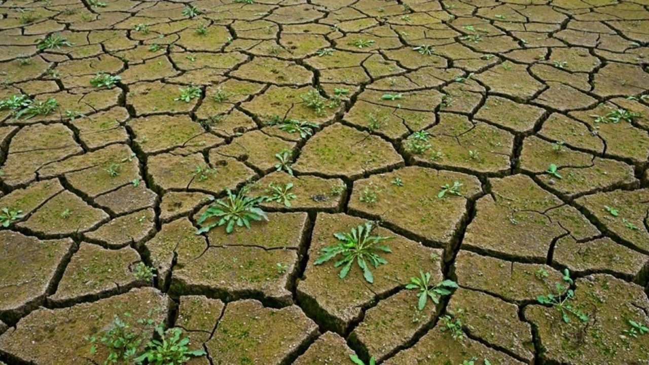 O ilimizde su bitmek üzere! "İlerde su savaşları çıkabilir