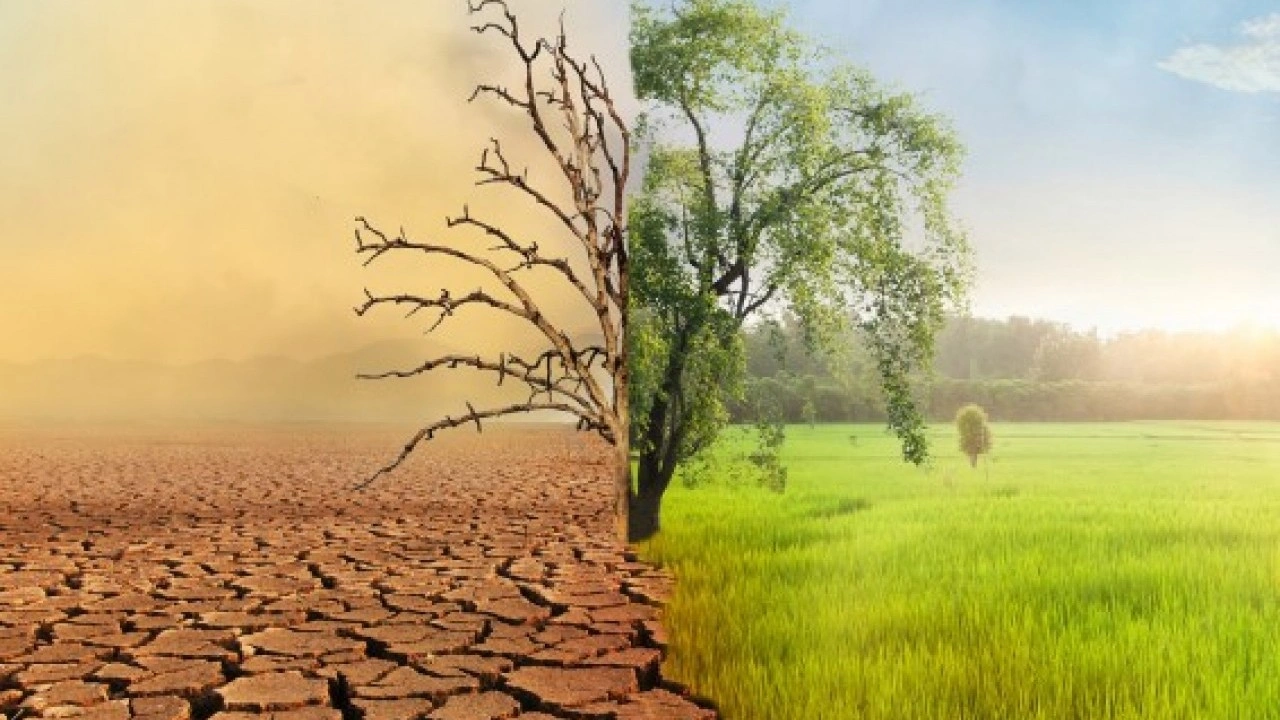 Foto - O ilimizde su bitmek üzere! "İlerde su savaşları çıkabilir