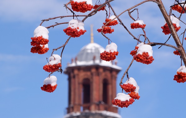 O ilimizde termometreler -21 dereceyi gördü