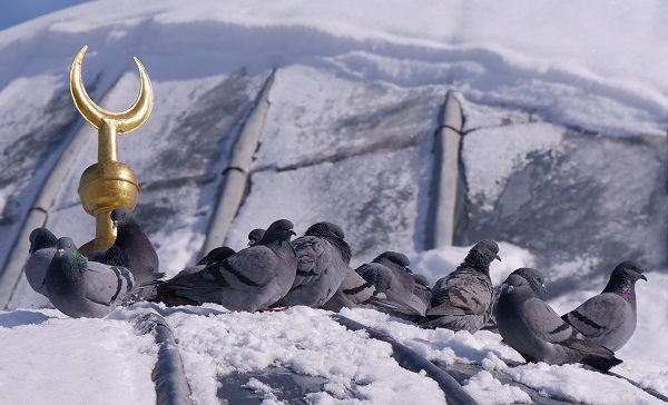 Foto - O ilimizde termometreler -21 dereceyi gördü