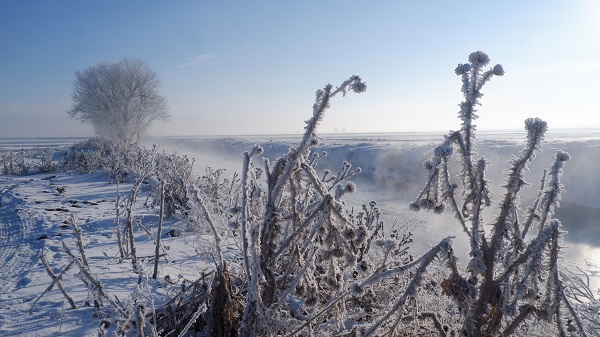 Foto - O ilimizde termometreler -21’i gösterdi
