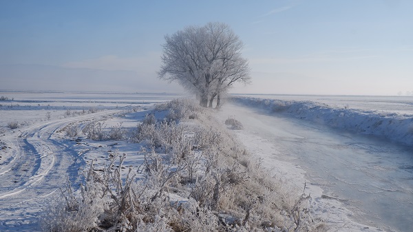 Foto - O ilimizde termometreler -21’i gösterdi