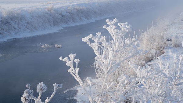 Foto - O ilimizde termometreler -21’i gösterdi