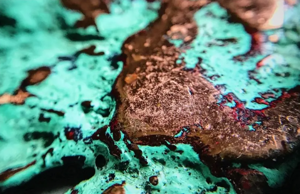 O ilimizde Türkiye'yi zengin edecek rezerv var! O rezerv için dünya birbirini yemeye başladı