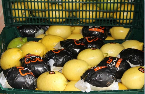 Foto - O ilimizde yetişiyor, Almanya'ya gidiyor! İhracatta çığır açan ürün! Paraya para demiyorlar