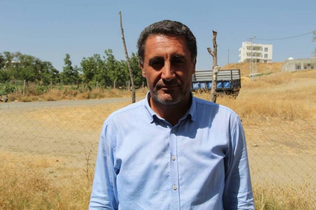 Foto - O ilimizde yetişiyor, bölge halkı adeta para basıyor! Bu bitki tam bir vitamin deposu! Her derde deva