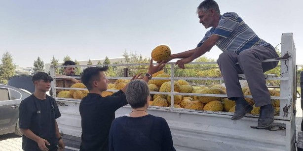 Foto - O ilimizde yetişiyor! Her şehirden talep patlaması yaşanıyor! Pazarda kilosu dudak uçuklatıyor
