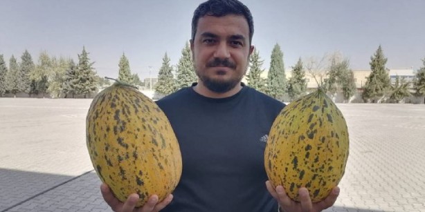 Foto - O ilimizde yetişiyor! Her şehirden talep patlaması yaşanıyor! Pazarda kilosu dudak uçuklatıyor