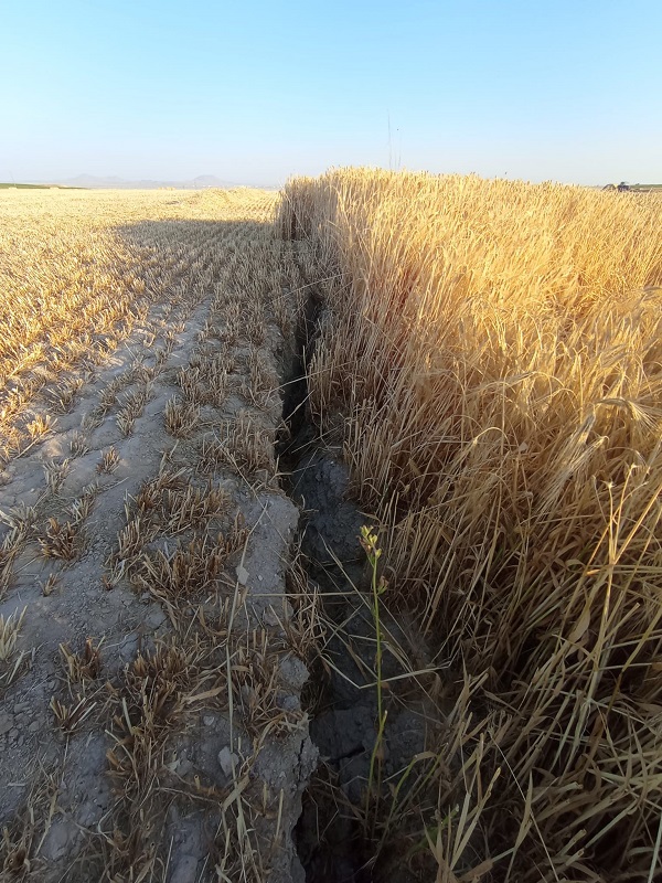 Foto - O ilimizde yine obruk oluştu