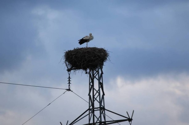 Foto - O ilimizde yüksek gerilim hattı direklerinde şoke eden görüntü! Gören, dönüp bir daha bakıyor 