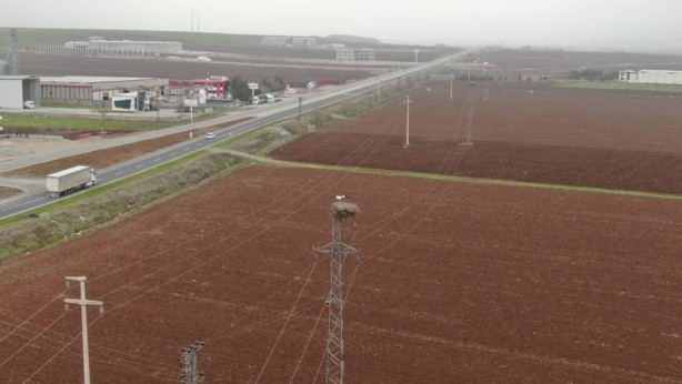 Foto - O ilimizde yüksek gerilim hattı direklerinde şoke eden görüntü! Gören, dönüp bir daha bakıyor 