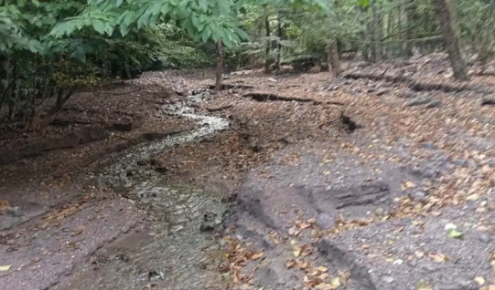 Foto - O ilimizdeki derelerden adeta altın akıyor! Vatandaşlar altın toplamak için bölgeye akın etmeye başladı