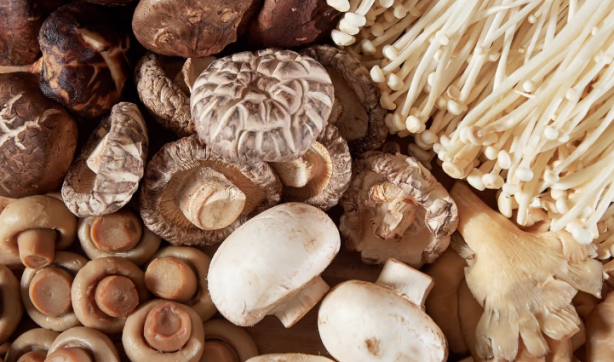 Foto - O ilimizdeki ormanda gizli hazineyi buldu! Her gün gelip 4 saat çalışıp 90 bin lira kazanıyor