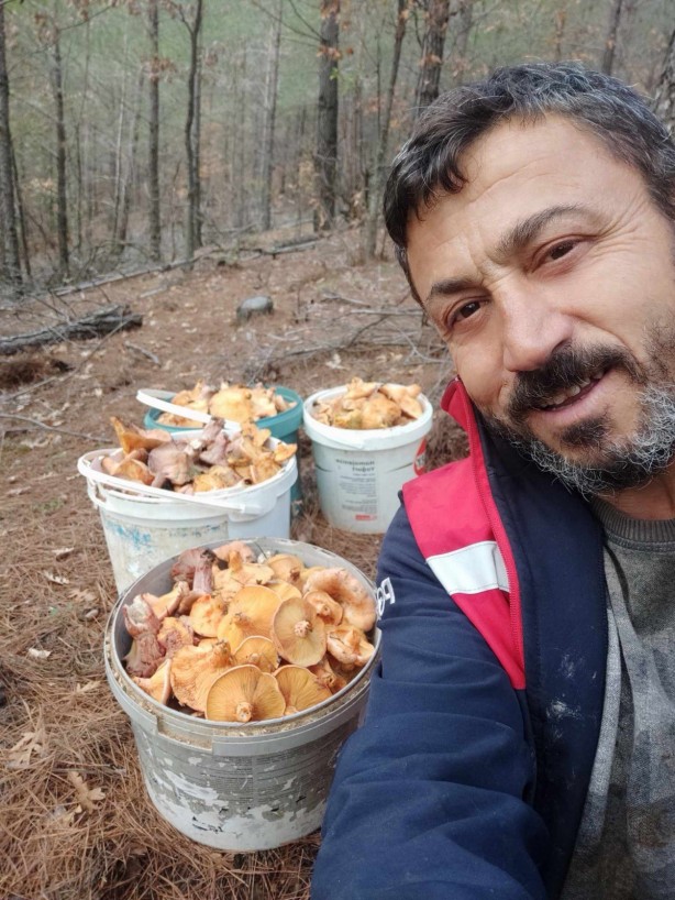 Foto - O ilimizdeki ormanda gizli hazineyi buldu! Her gün gelip 4 saat çalışıp 90 bin lira kazanıyor