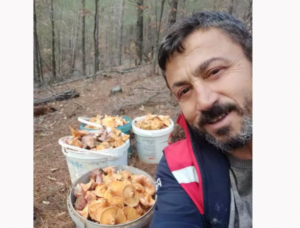 Foto - O ilimizdeki ormanda gizli hazineyi buldu! Her gün gelip 4 saat çalışıp 90 bin lira kazanıyor