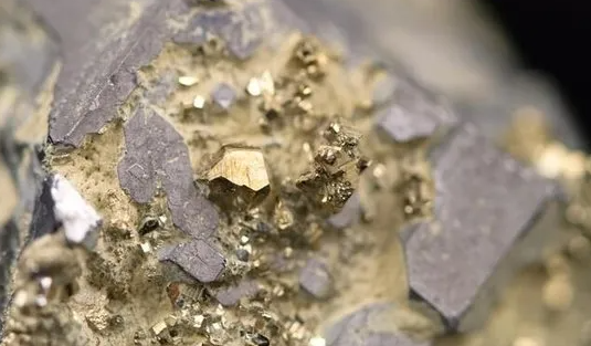 Foto - 'O ilimizden altın fışkırdı' haberini her an alabiliriz! Yetkililer harekete geçti