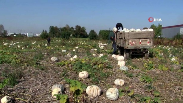 Foto - O ilimizden bomba hamle! Almanlar ve İtalyanlar şimdiden sıraya girdi! Kapış kapış alıyorlar