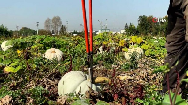 Foto - O ilimizden bomba hamle! Almanlar ve İtalyanlar şimdiden sıraya girdi! Kapış kapış alıyorlar