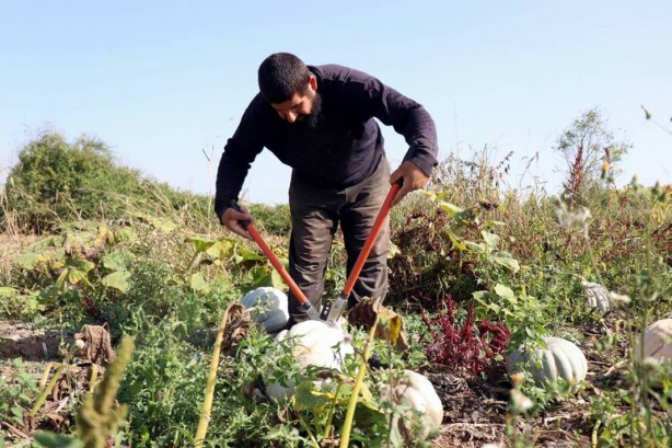 Foto - O ilimizden bomba hamle! Almanlar ve İtalyanlar şimdiden sıraya girdi! Kapış kapış alıyorlar