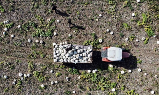 Foto - O ilimizden bomba hamle! Almanlar ve İtalyanlar şimdiden sıraya girdi! Kapış kapış alıyorlar