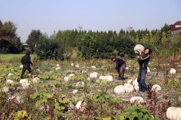 Foto - O ilimizden bomba hamle! Almanlar ve İtalyanlar şimdiden sıraya girdi! Kapış kapış alıyorlar