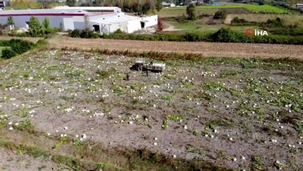 Foto - O ilimizden bomba hamle! Almanlar ve İtalyanlar şimdiden sıraya girdi! Kapış kapış alıyorlar