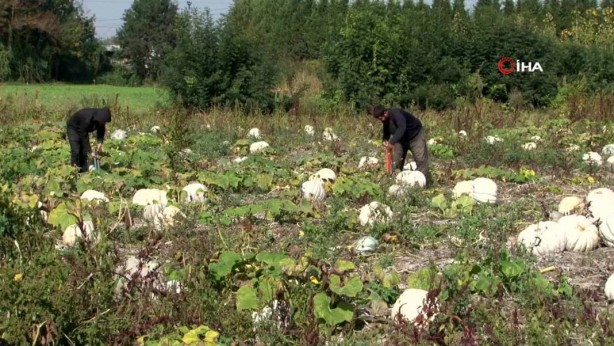Foto - O ilimizden bomba hamle! Almanlar ve İtalyanlar şimdiden sıraya girdi! Kapış kapış alıyorlar