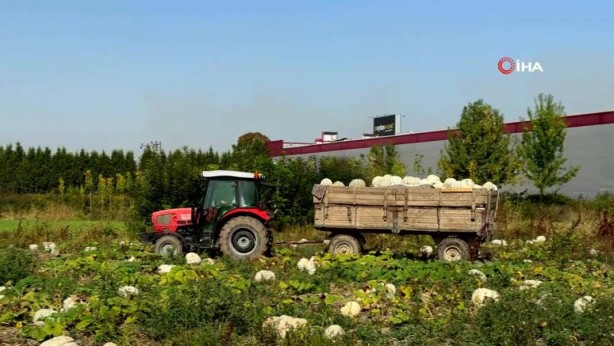 Foto - O ilimizden bomba hamle! Almanlar ve İtalyanlar şimdiden sıraya girdi! Kapış kapış alıyorlar