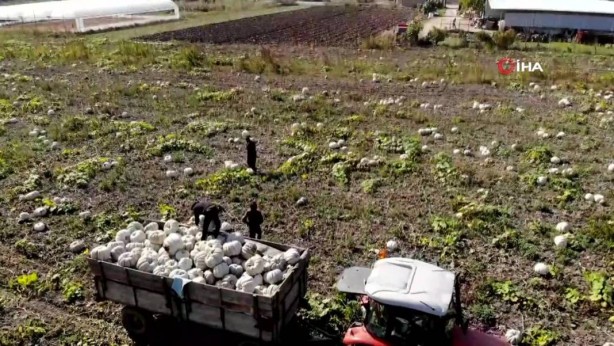 Foto - O ilimizden bomba hamle! Almanlar ve İtalyanlar şimdiden sıraya girdi! Kapış kapış alıyorlar