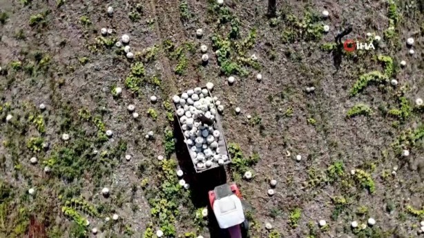 Foto - O ilimizden bomba hamle! Almanlar ve İtalyanlar şimdiden sıraya girdi! Kapış kapış alıyorlar
