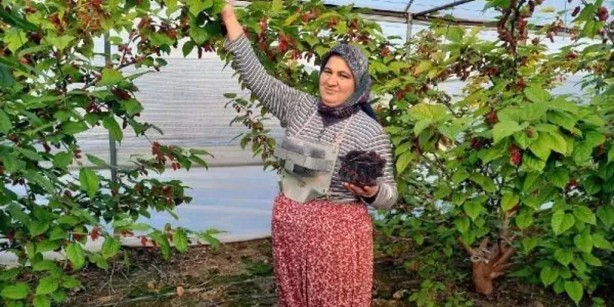 Foto - O ilimizden çıkıyor, tüm dünya yana yakıla bunu arıyor! Resmen yok satıyor! Dubai, Irak, Rusya resmen havada kapıyor