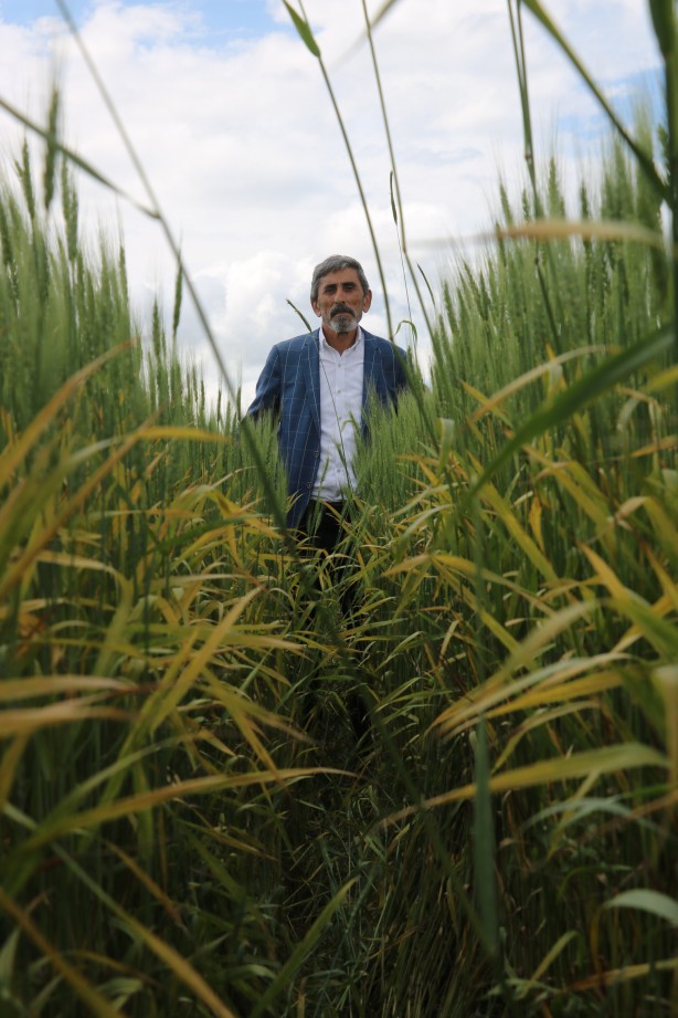 Foto - O ilimizden tarımla ilgili gelen haberler kötü! Hasar çok büyük