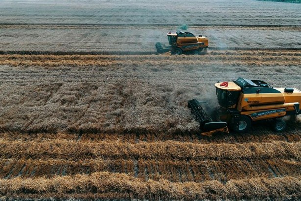 Foto - O ilimizden tarımla ilgili gelen haberler kötü! Hasar çok büyük