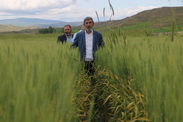 Foto - O ilimizden tarımla ilgili gelen haberler kötü! Hasar çok büyük