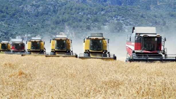O ilimizden tarımla ilgili gelen haberler kötü! Hasar çok büyük