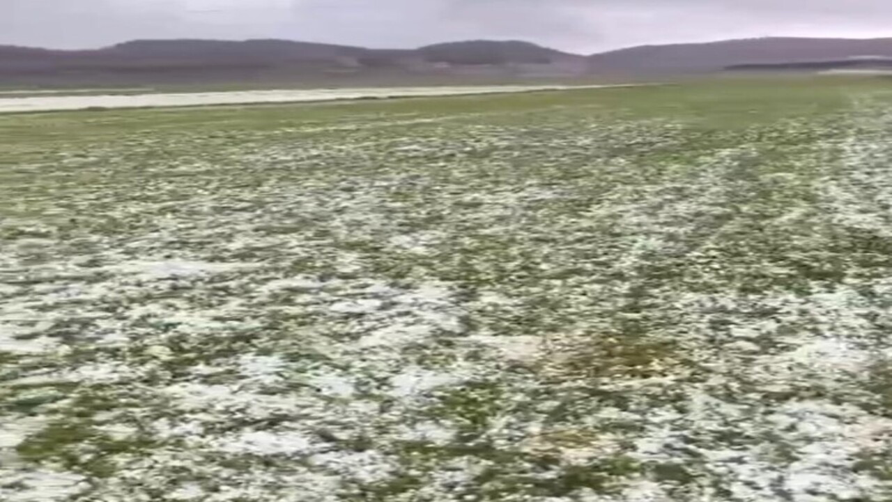 Foto - O ilimize ceviz büyüklüğünde dolu yağdı