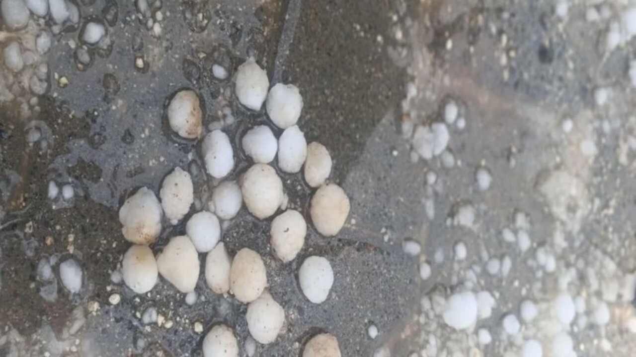 Foto - O ilimize ceviz büyüklüğünde dolu yağdı