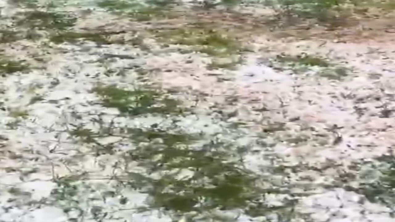 Foto - O ilimize ceviz büyüklüğünde dolu yağdı